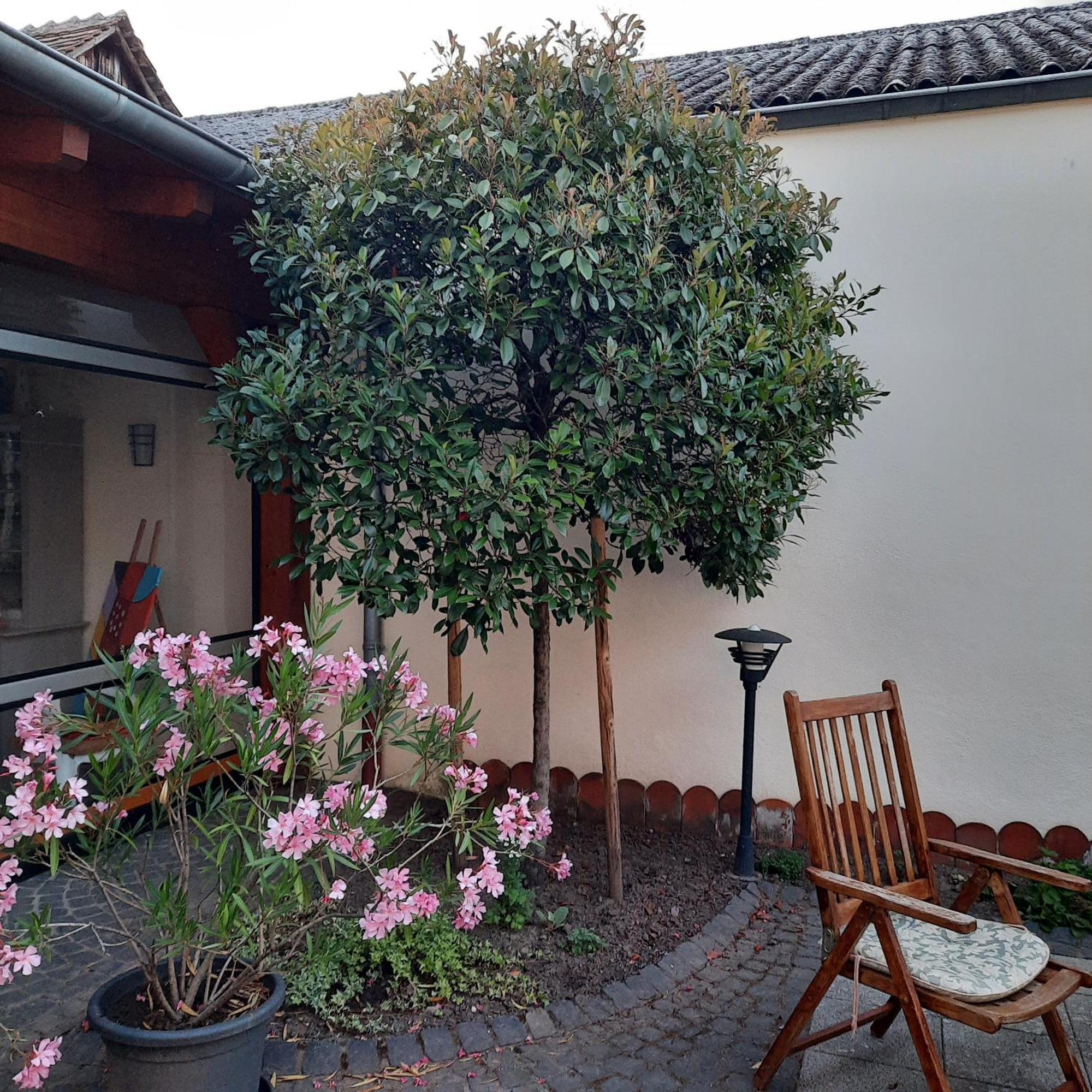 Schunck Im Bliesgau Blieskastel